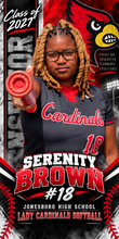 Load image into Gallery viewer, School &amp; Athletic Banner Program