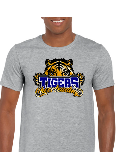 DCHS Tigers Cheerleading - 2025