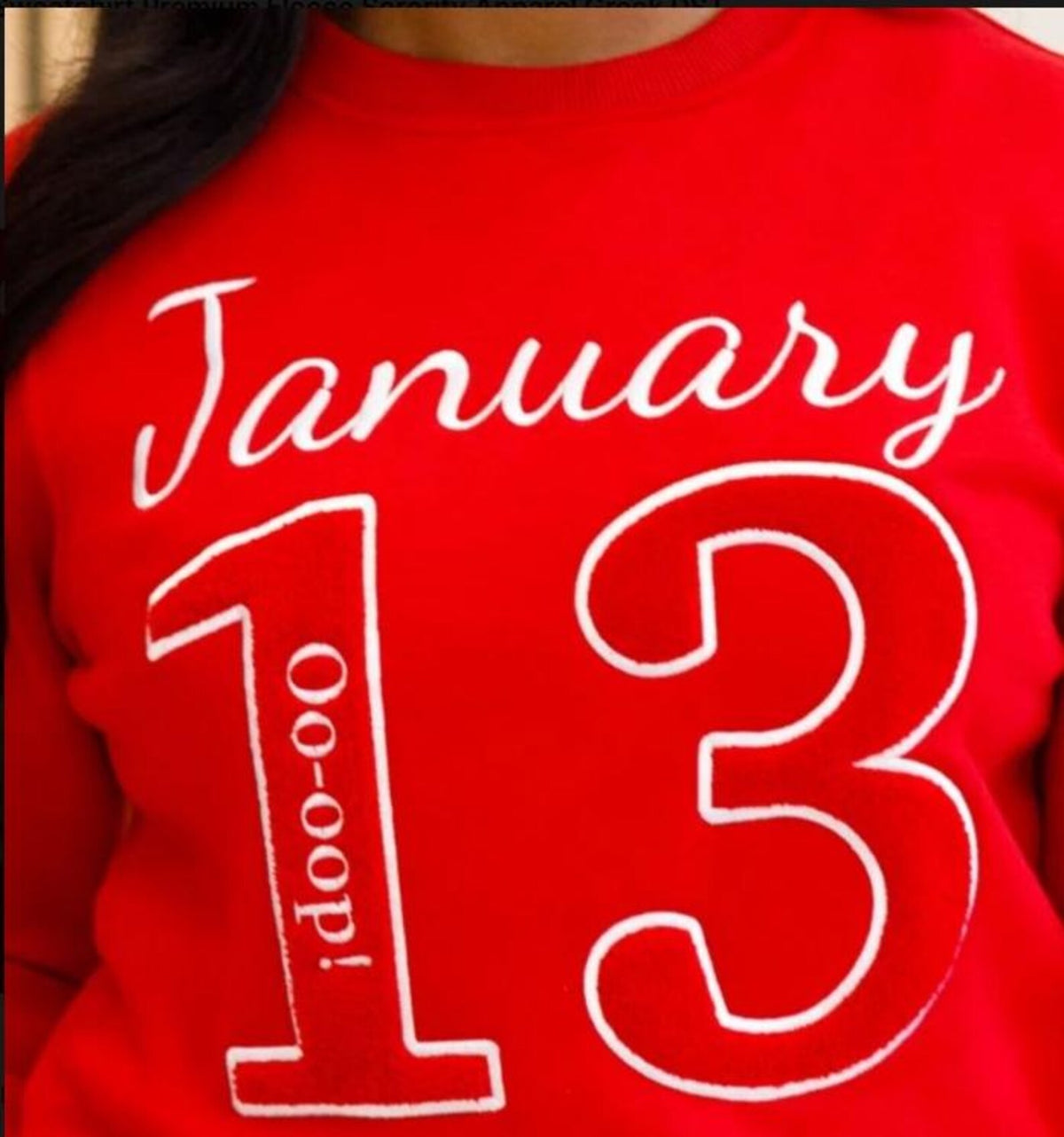 Delta Sigma Theta - January 13, 1913 Founders Day Chenille Sweatshirt